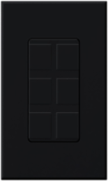 6-Port Frame with Blanks, Gloss Black Finish, Plastic Enclosure