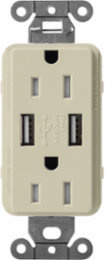 Satin 15A USB Receptacle, 2 Ports, 3.8A Output, Tamper-Resistant