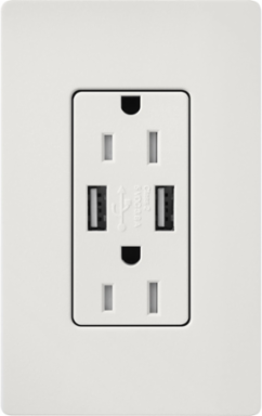 Tamper-Resistant USB Receptacle, 15A, Lunar Gray, 2 Ports, Satin Finish