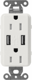 Tamper-Resistant USB Receptacle, 15A, Lunar Gray, 2 Ports, Satin Finish