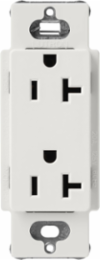 Satin Finish 20 Amp Receptacle, 125V, 4.69 x 2.94 Inch, Lunar Gray