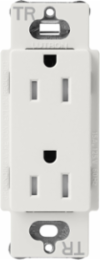 Satin Finish 15 Amp Tamper-Resistant Receptacle, 4.69 Inch x 2.94 Inch