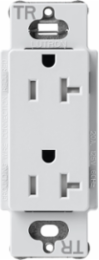 Satin 20 Amp Tamper-Resistant Receptacle, Mist Color, 125V