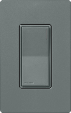 Sunnata Companion Switch 4.69 Inch Satin Decorative Light Control Slate