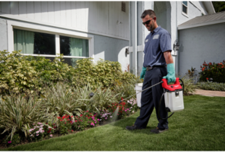M12 1 Gallon Handheld Sprayer, 80 PSI, 17 ft Spray Distance
