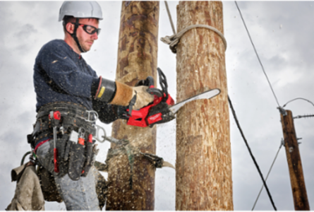 M18 FUEL™ 14" Top Handle Chainsaw (Tool-Only)
