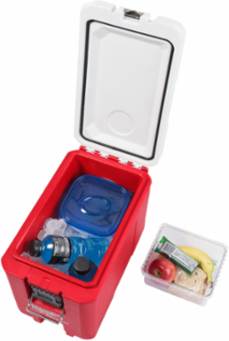 PACKOUT™ 16QT Compact Cooler, 20 Can Capacity, IP65 Rated, Holds Ice 30 Hours