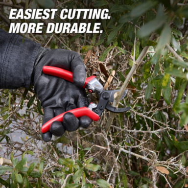 3/4" Pruner
