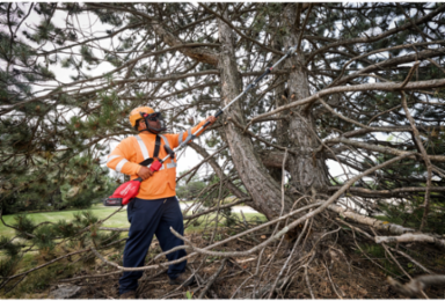 M18 FUEL™ QUIK-LOK™ 10" Pole Saw Attachment