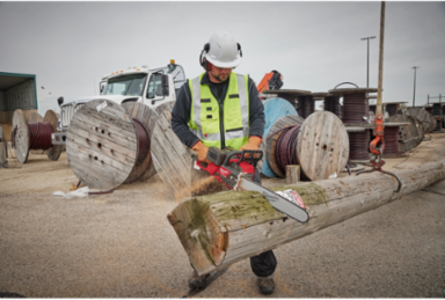 20" .325" Pitch, .050" Gauge Saw Chain
