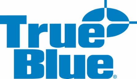 12 Inch True Blue® Laser Etched Rafter Square, Anodized Aluminum, Hi-Visibility Markings