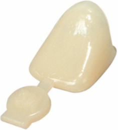 Polycarbonate Crown, Upper Left Central, 9.4 Inch, Anterior, Permanent