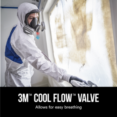 3M™ Full Face Reusable Paint Project Respirator OV/P95, 69P71P1-DC, Large, 1 each/pack, 2 packs/case