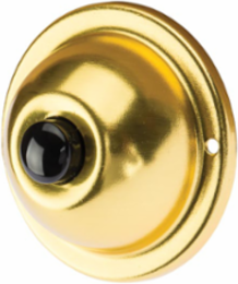Pushbutton Round Brass 24V Max 2 1/4"D
