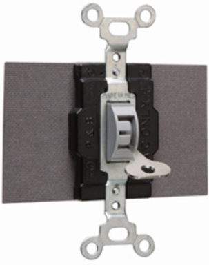 Locking Manual Controller, 15A, 120/277V, Single-Pole Double-Throw