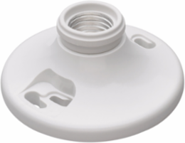Phenolic Medium Base Lampholder 4-Terminal 250V, Fits 3-1/4 Inch & 4 Inch Boxes