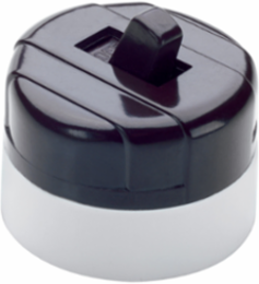 Surface Mount Switch, Matte Finish, Brown Color
