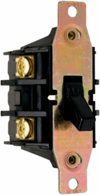 Manual Controller, Double-Pole 40 Amps, 600V, Matte Finish, 1.825 Inch Width