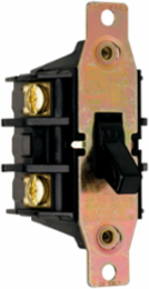 Manual Controller, Double-Pole 40 Amps, 600V, Matte Finish, 1.825 Inch Width