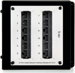 12-Port Cat 5e Network Interface Module AC1014