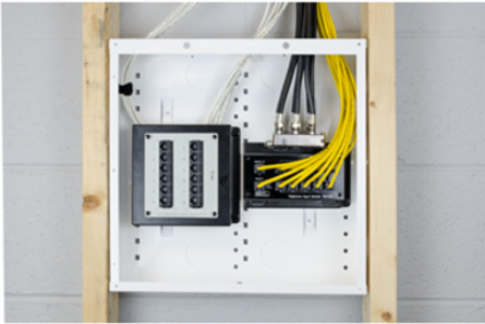 12-Port Cat 6 Network Interface Module AC1015