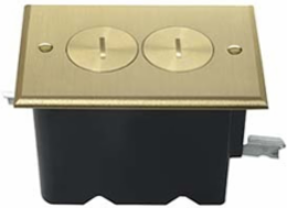 Tamper-Resistant Floor Box Assembly for Wood Sub-Floors, Brass Cover