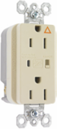 Isolated Ground Surge Protective Duplex Receptacle, 15 Amp, Ivory