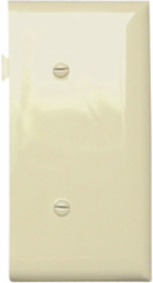 Ivory Sectional Blank Strap Mounted Wall Plate, Smooth Nylon