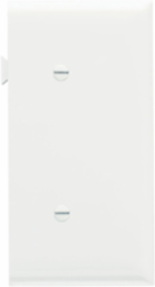 Sectional Blank Strap Mounted Wall Plate, Light Almond