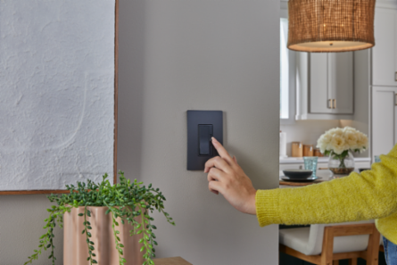 radiant® CFL/LED Dimmer, Graphite