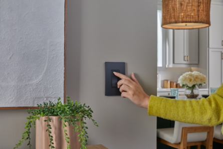 radiant® CFL/LED Dimmer, Graphite