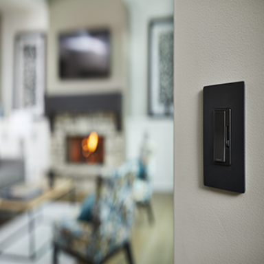 radiant® CFL/LED Dimmer, Graphite