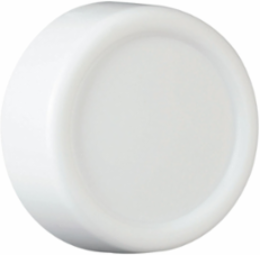 Rotary R Series Replacement Knob, 1.25 Inch Matte White