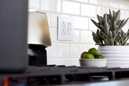 radiant® 2-Gang Screwless Wall Plate White