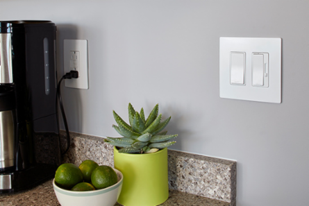 radiant® 2-Gang Screwless Wall Plate White