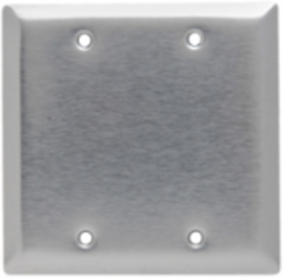 2-Gang Blank Wall Plate, 4.56 Inch Width, 4.5 Inch Height, Stainless Steel
