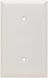 Thermoset Wall Plate, Blank, Strap Mounted, White, 4.5 Inch x 2.75 Inch