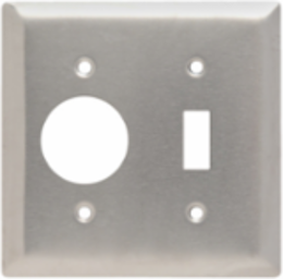 2-Gang Stainless Steel Wall Plate, 4.56 Inch x 4.5 Inch, 1 Toggle, 1 Receptacle