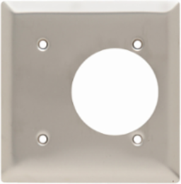 2-Gang Stainless Steel Wall Plate, 4.56 Inch Width, 2.1563 Inch Opening