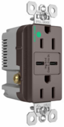 15A 125V Hospital-Grade Duplex Receptacle with USB C Fast Charging, 1.693 Inch Width