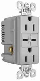 15A Tamper-Resistant Receptacle With 2 USB Type-C Ports, Gray, 1.693 Inch Width
