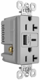 20A 125V Tamper-Resistant Duplex Receptacle with USB Ports, Gray
