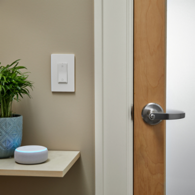 radiant® Home/Away Wireless Smart Switch with Netatmo, White