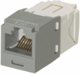 Mini-Com® UTP RJ45 Cat 6 TG Jack Module, Int'l Gray, 100 Pack