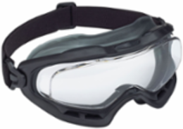 Indirect Vent Goggle with Black Frame, Clear Lens and 4A Coating - FR Strap