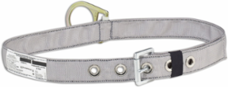 Travel Restraint Belt