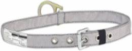 Travel Restraint Belt