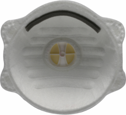 Standard N95 Disposable Respirator - 10 Pack