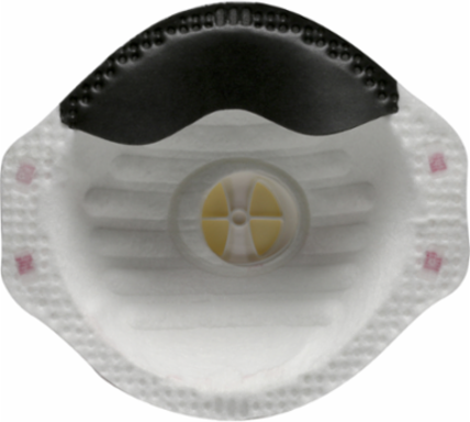 Deluxe N95 Disposable Respirator with Valve - 10 Pack