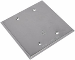 Cover FS-2C TWO GANG